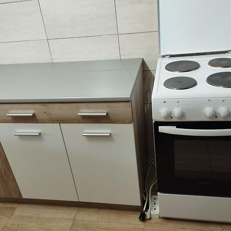 Guest House Vila Aleksa Bogutovac Εξωτερικό φωτογραφία