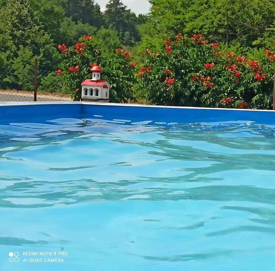 Guest House Vila Aleksa Bogutovac Εξωτερικό φωτογραφία