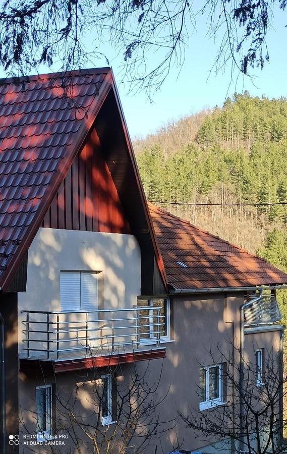 Guest House Vila Aleksa Bogutovac Εξωτερικό φωτογραφία