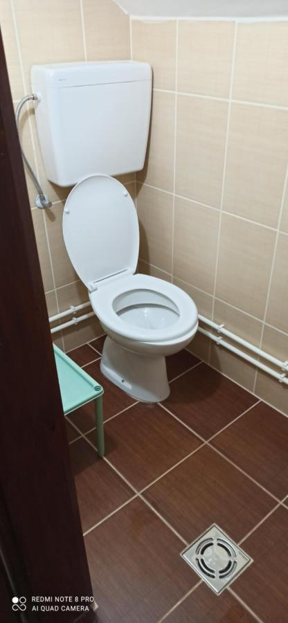 Guest House Vila Aleksa Bogutovac Εξωτερικό φωτογραφία