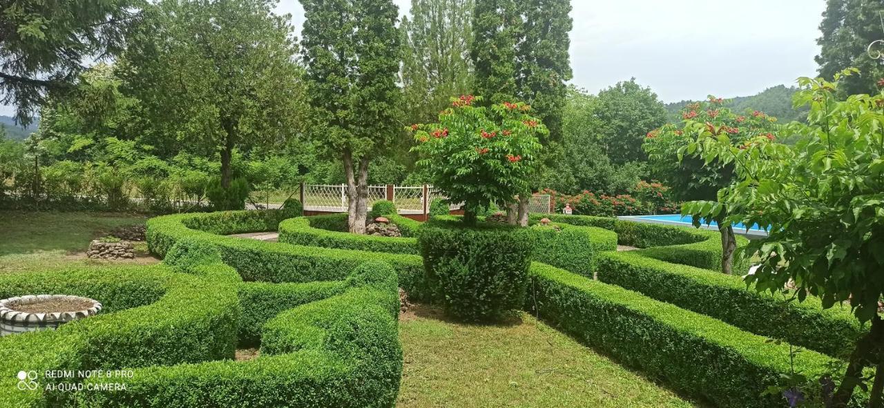 Guest House Vila Aleksa Bogutovac Εξωτερικό φωτογραφία