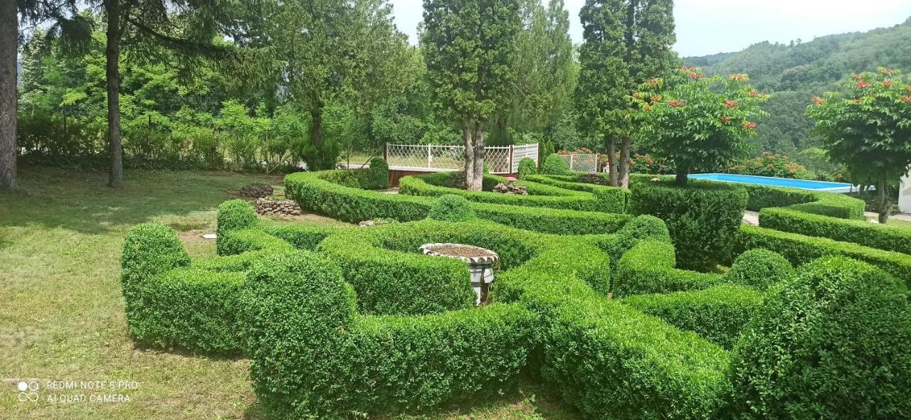 Guest House Vila Aleksa Bogutovac Εξωτερικό φωτογραφία