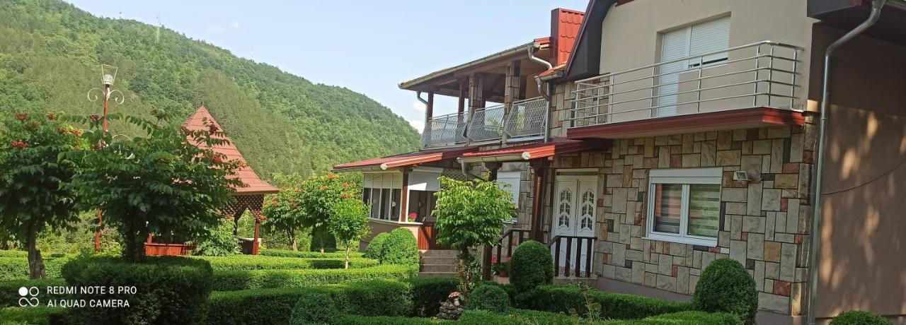 Guest House Vila Aleksa Bogutovac Εξωτερικό φωτογραφία