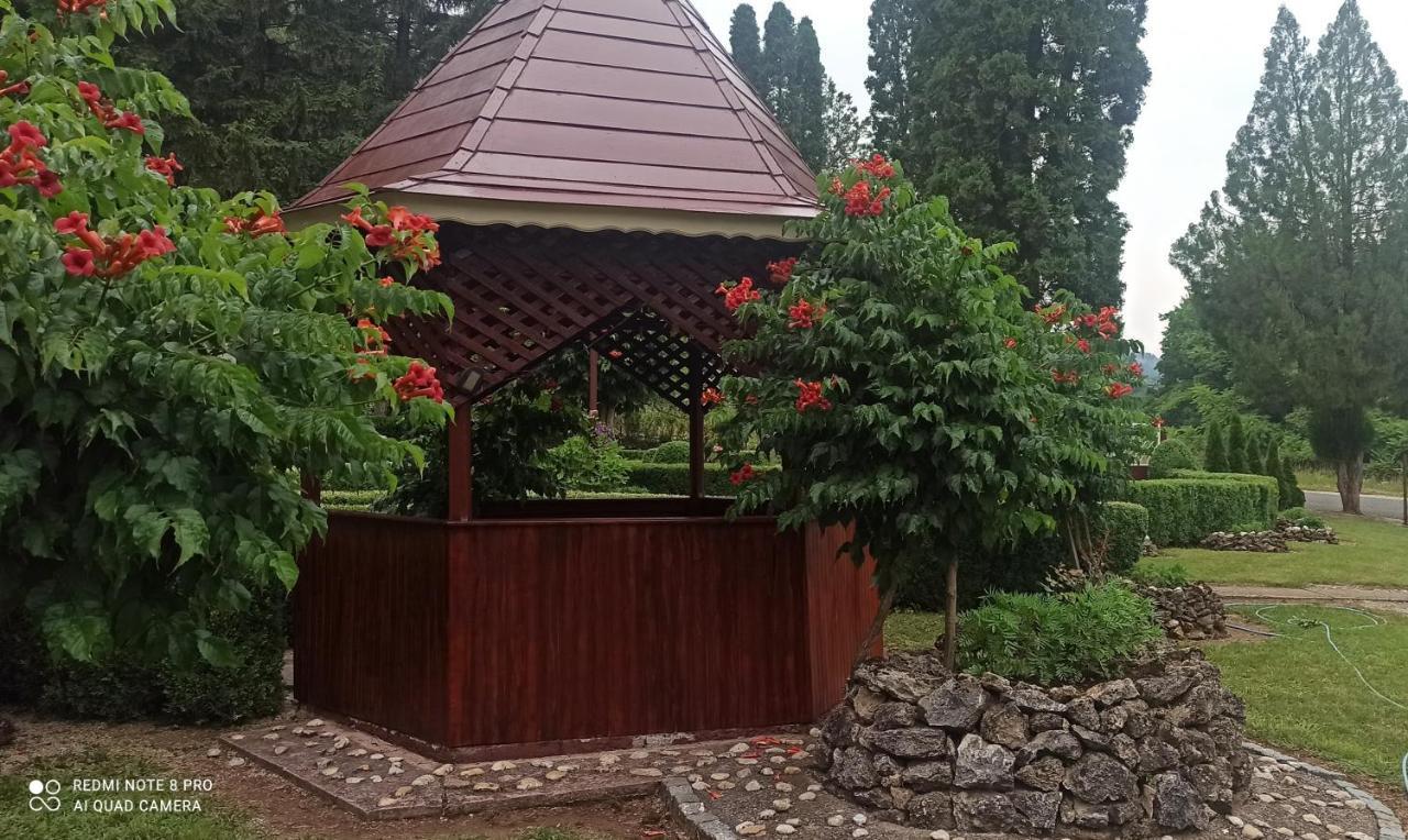 Guest House Vila Aleksa Bogutovac Εξωτερικό φωτογραφία