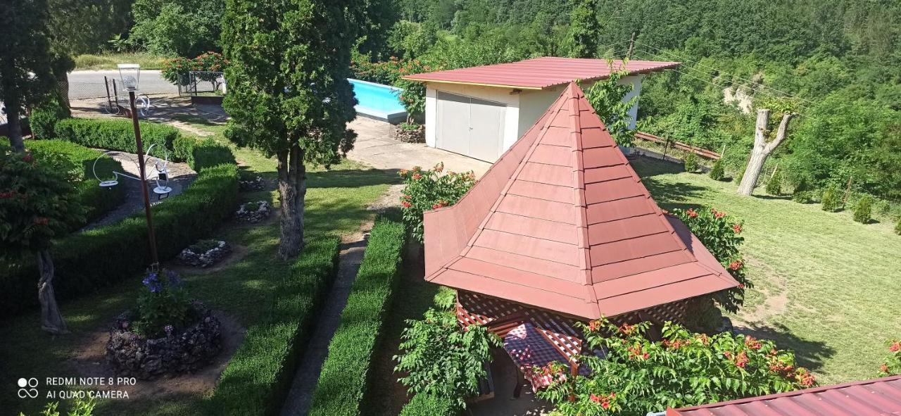 Guest House Vila Aleksa Bogutovac Εξωτερικό φωτογραφία