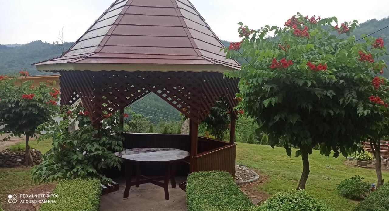 Guest House Vila Aleksa Bogutovac Εξωτερικό φωτογραφία