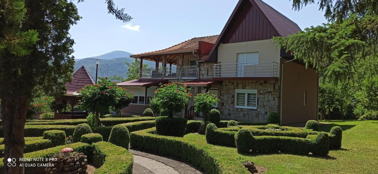Guest House Vila Aleksa Bogutovac Εξωτερικό φωτογραφία