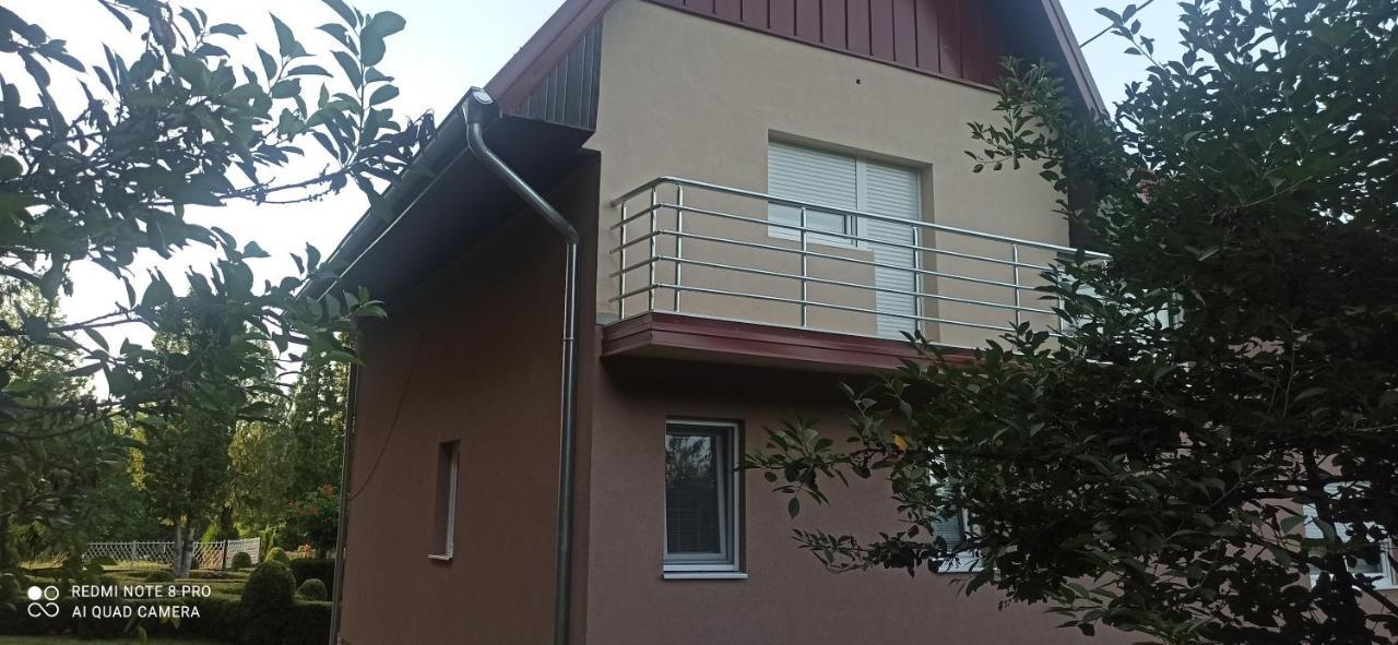 Guest House Vila Aleksa Bogutovac Εξωτερικό φωτογραφία